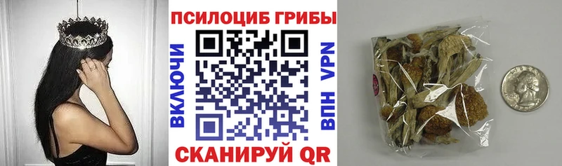 Купить где  Заозёрный  Галлюциногенные грибы мицелий 